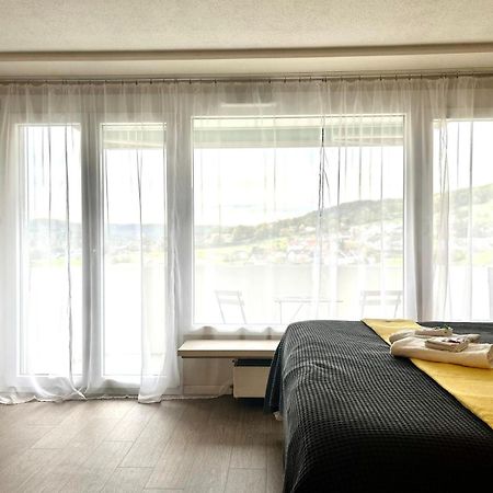 Appartement Little Penthouse **** à Dietikon Extérieur photo