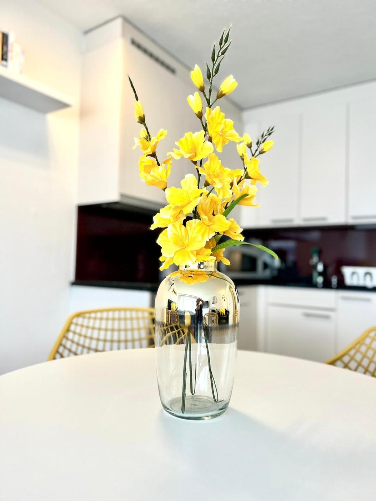 Appartement Little Penthouse **** à Dietikon Extérieur photo