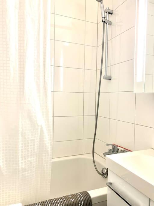 Appartement Little Penthouse **** à Dietikon Extérieur photo