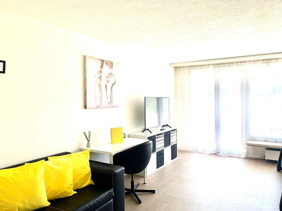 Appartement Little Penthouse **** à Dietikon Extérieur photo